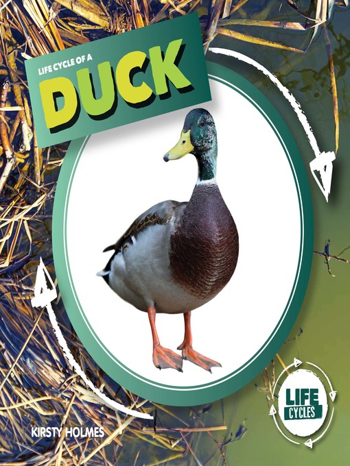 Title details for Life Cycle of a Duck by Kirsty Holmes - Wait list